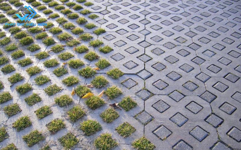 Gạch trồng cỏ  