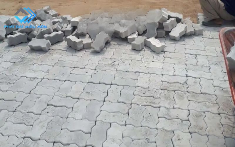 Gạch con sâu lát vỉa hè thực tế