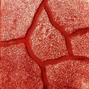 Giới thiệu sản phẩm gạch lát Terrazzo PD-121 