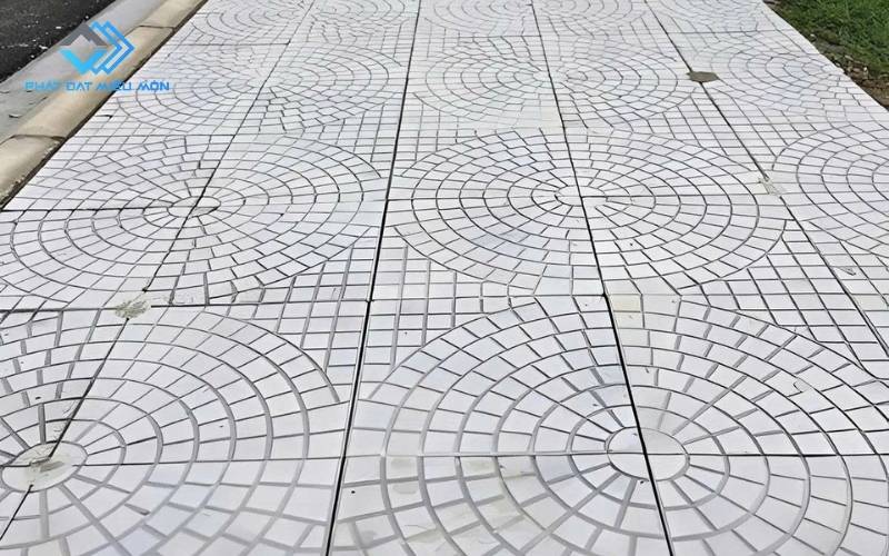 12+ Mẫu gạch terrazzo 40 x 40 đẹp, sử dụng lát vỉa hè 