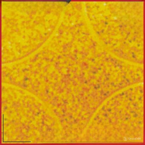 Gạch terrazzo PD 300 màu vàng hoa văn mắt cáo, bề mặt hạt đá tự nhiên, bền đẹp và chống trơn trượt cho lát sân, vỉa hè