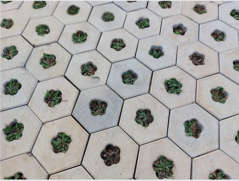 Ưu điểm nổi bật gạch lục giác mẫu trồng cỏ