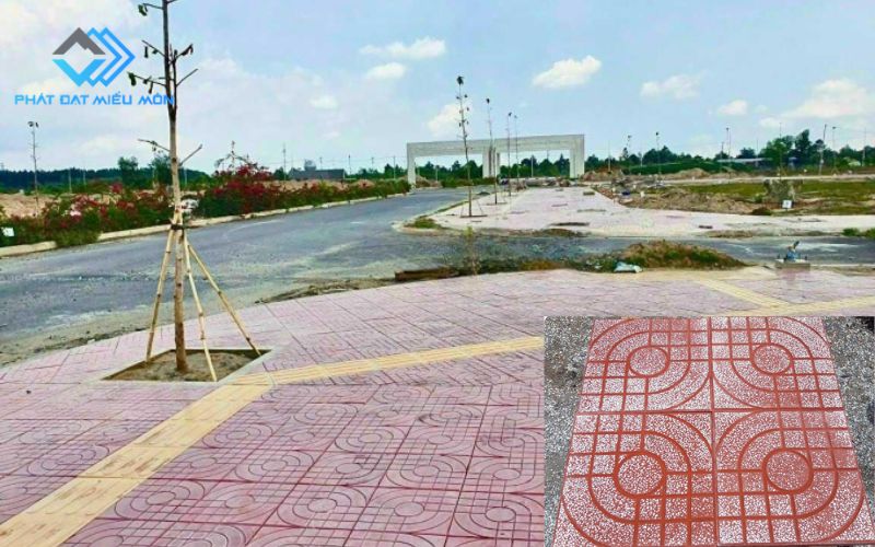 Dự Án Ao Liên Quan