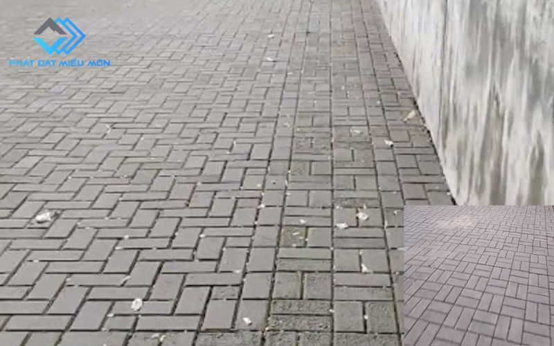 Dự án công trình nông thôn mới