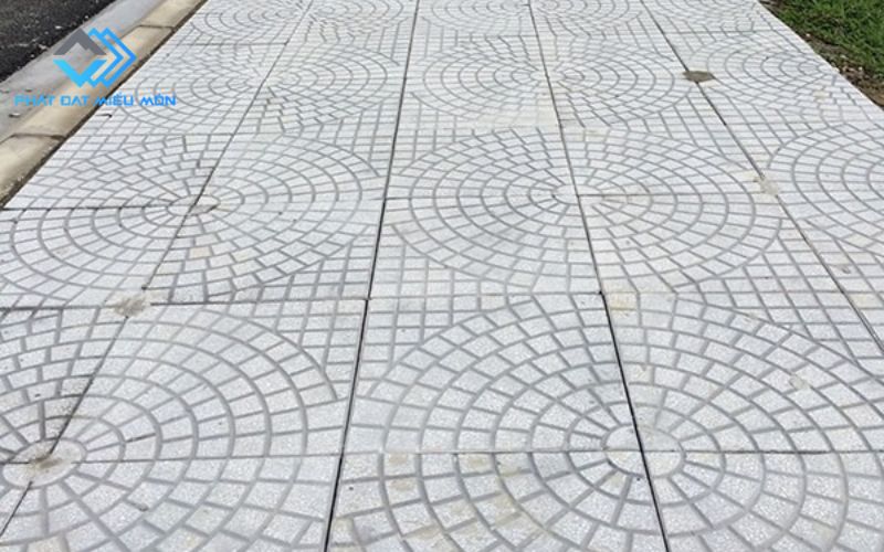 Màu xám và màu đỏ là hai mã được ưa chuộng nhất