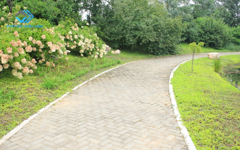mua gạch vỉa hè ở đâu