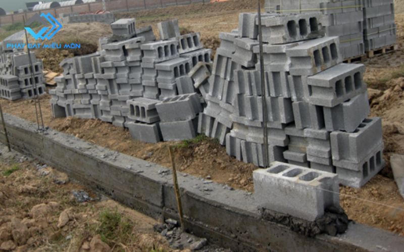 Hình ảnh thực tế