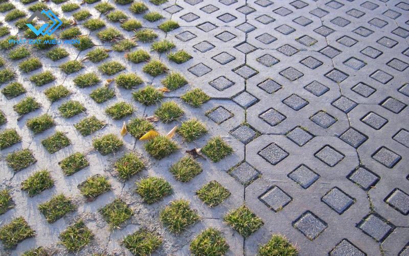 Gạch trồng cỏ là gì?