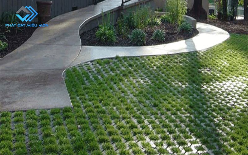 Cách chọn gạch trồng cỏ đẹp, bền cho công trình